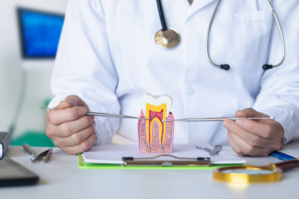 Best Cosmetic Emergency Dentistry in Coquille, OR